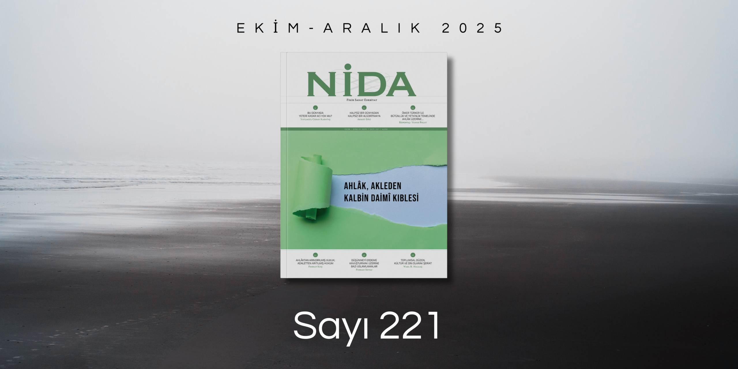 Turkuaz Modern Sınırsız Web Hosting Paketleri Banner